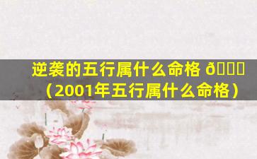 逆袭的五行属什么命格 🐒 （2001年五行属什么命格）